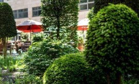 Kancelářské prostory