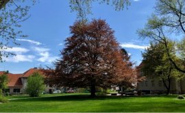 Kancelářské prostory